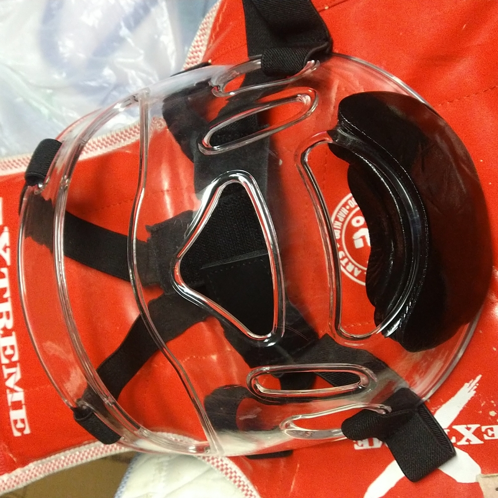 Face shield